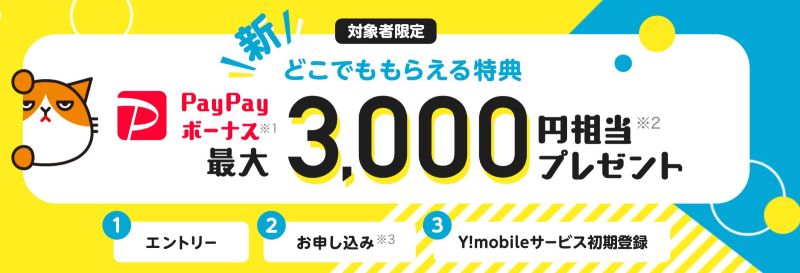 ワイモバイルの新どこでももらえる特典_ワイモバイルのどこでももらえる特典は事前に専用ページにYahoo!japanIDでエントリーする事で3,000円分のPayPayポイントが貰える