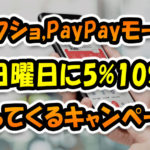 ヤフショ＆PayPayモールは日曜に買う！『日曜日5%戻ってくるキャンペーン』